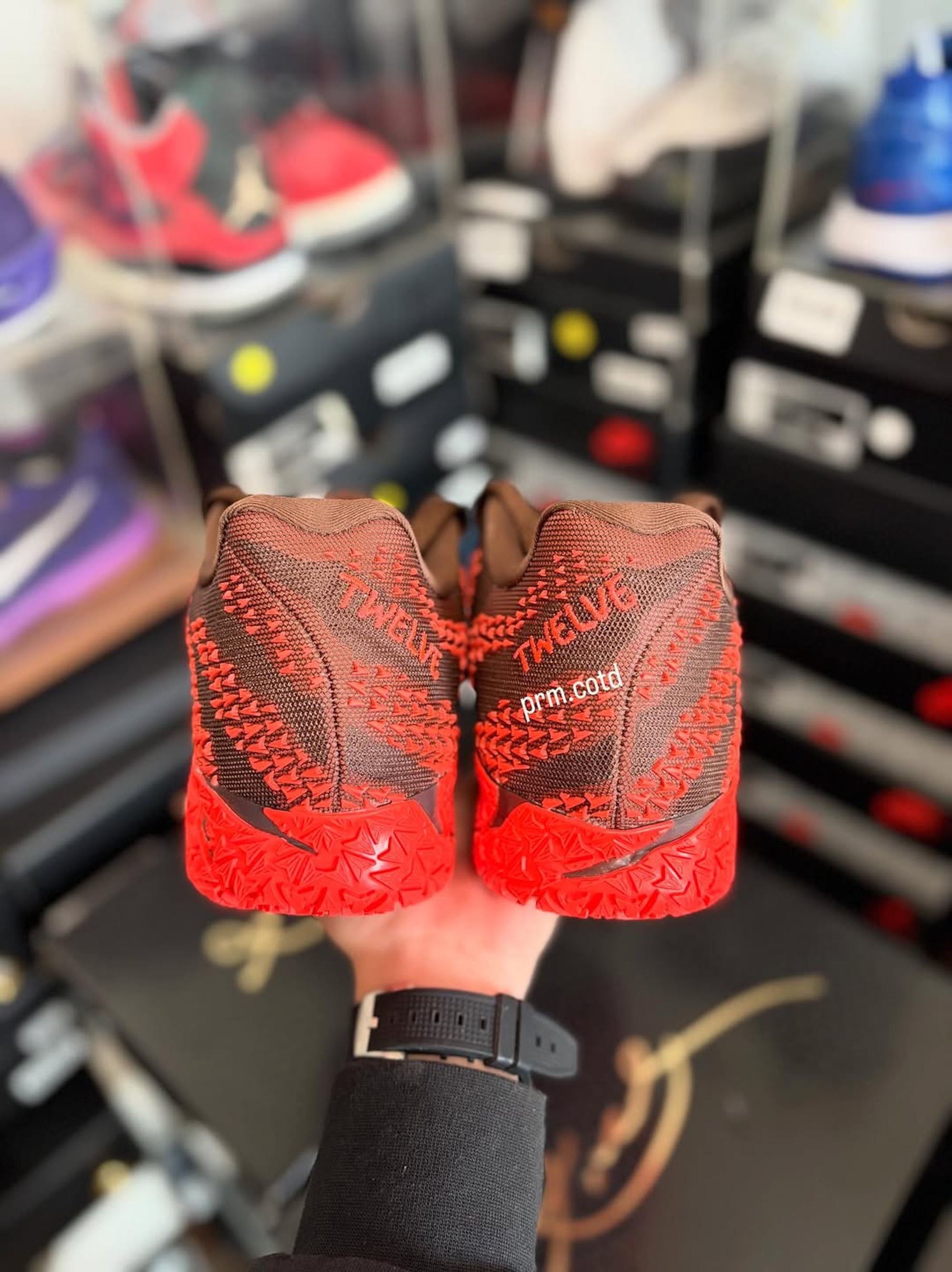 ヤマブドウ　皮　約3キロ WindSurf Session @ EO 山田プロ いい風が吹いてNewBoard 試乗 2026