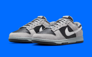 Available Now // Nike Dunk Low "Shadow 2.0"