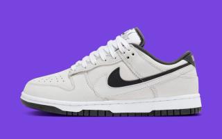 nike dunk low double swoosh white anthracite 2