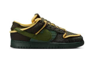CPFM x Nike Swamp Sponge Dunk "Sequoia" Official Image