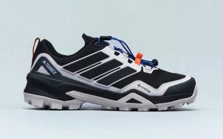 Adidas Unveils the New Terrex Skychaser Model in GORE-TEX Tooling