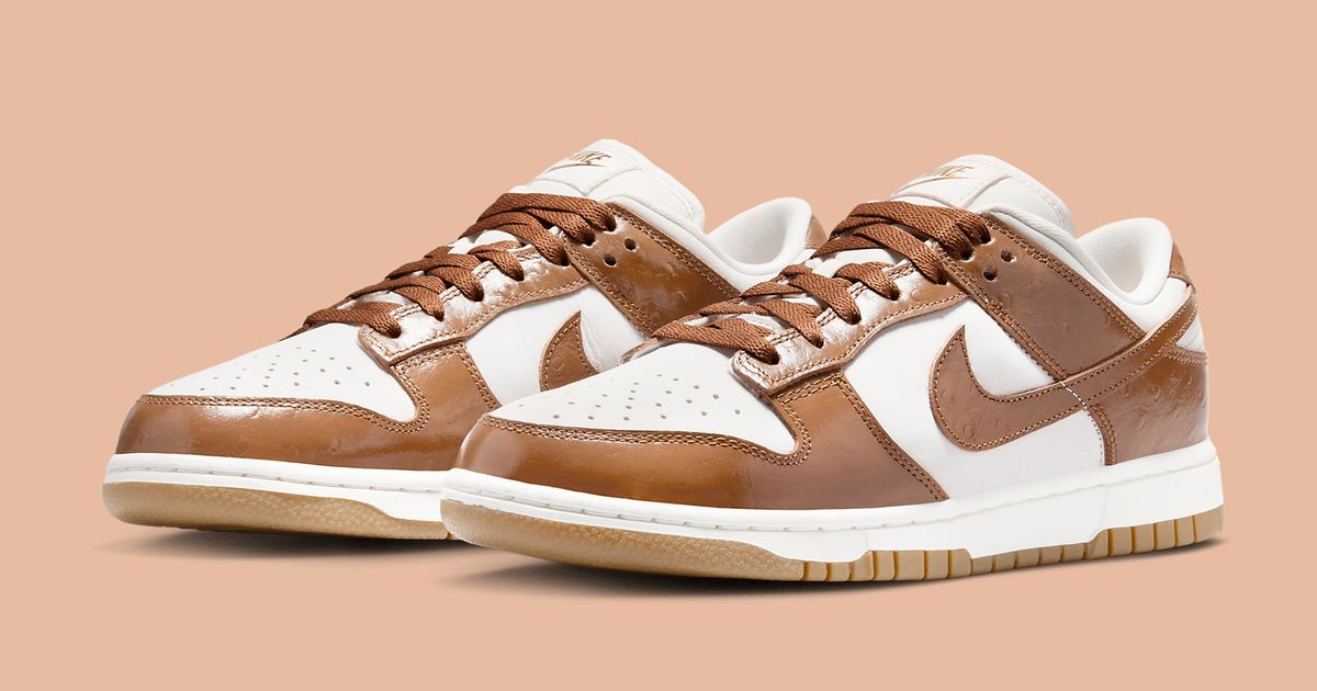 The Nike Dunk Low LX 