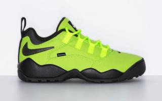 Supreme x Nike SB Darwin Low “Volt”