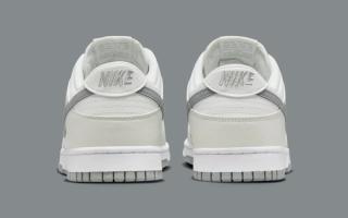 Nike Dunk Low Summit White Light Smoke Grey DV0831-106