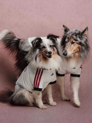 Real Madrid 26/27 Pet Home Jersey. Photo via adidas.