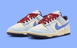 nike dunk low from nike to you fv8113 141 1