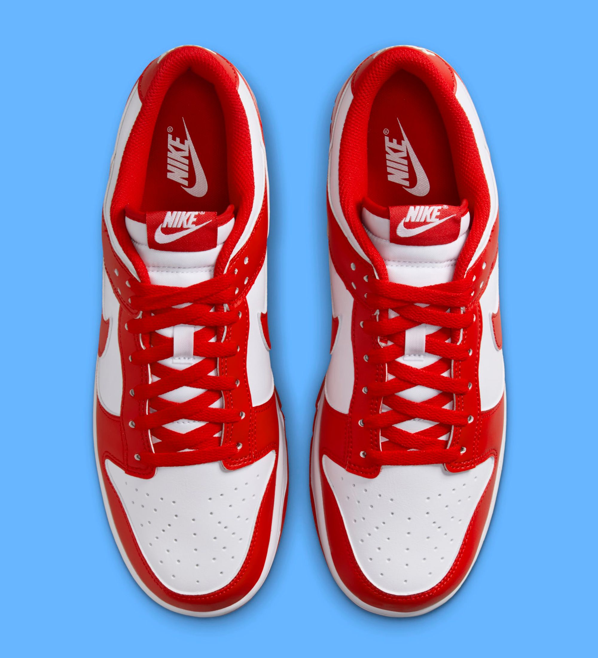 The Nike Dunk Low 