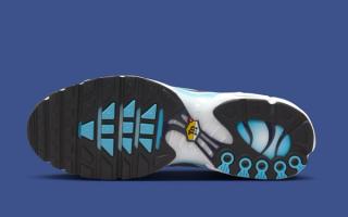 Outsole of Nike's Air Max Plus featuring a "Blue Chill" grid pattern across the upper.