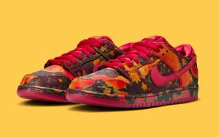 Official Images // Wizard Of Oz x Nike SB Dunk Low