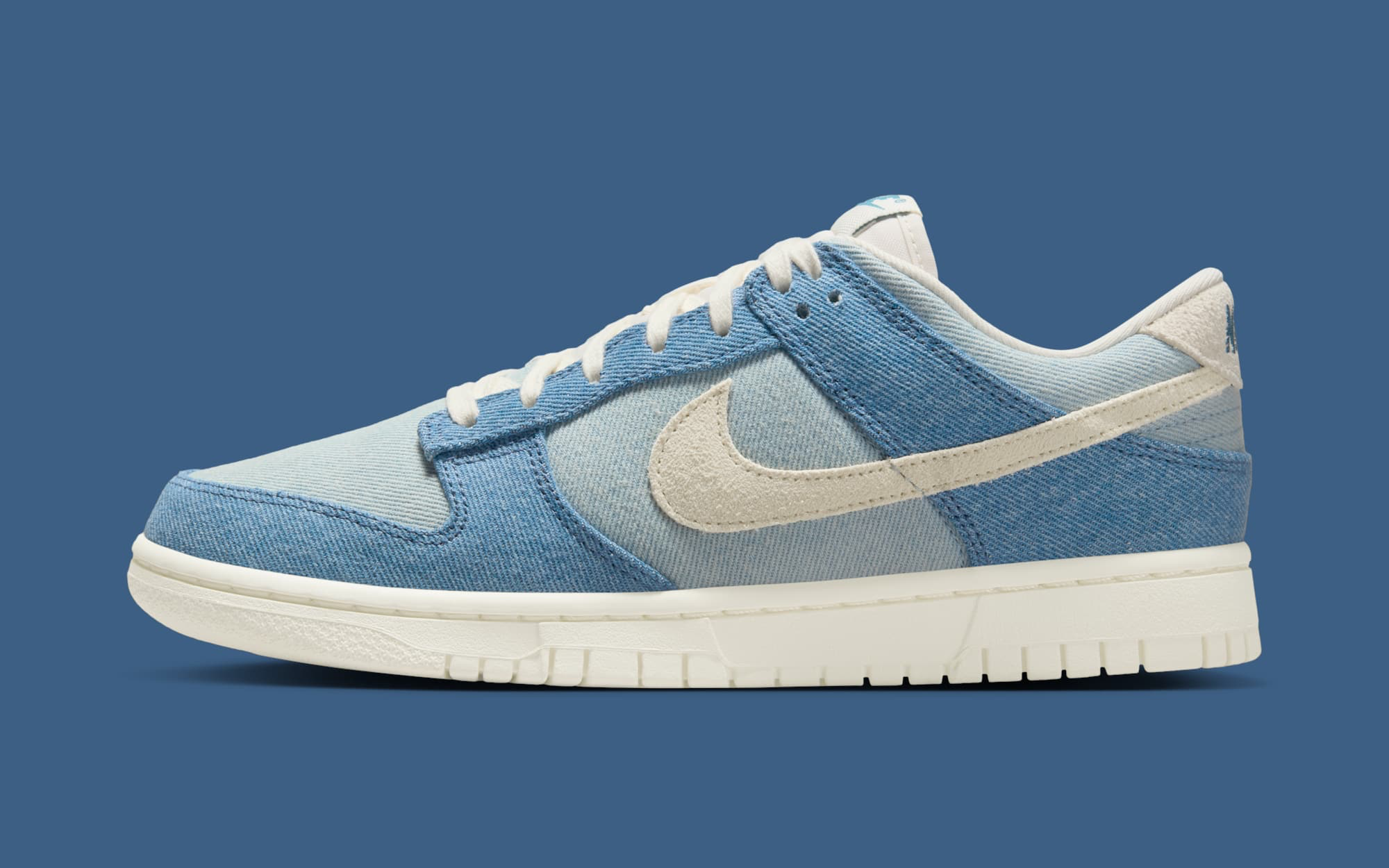 A Women's Nike Dunk Low Appears in 