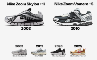 Nike Zoom Skylon 11 vs. Zoom Vomero 5 vs. Other Nike footwear styles.