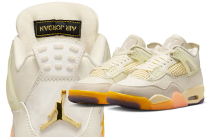 First Look at the Air Jordan 4 “Birds of Paradise”