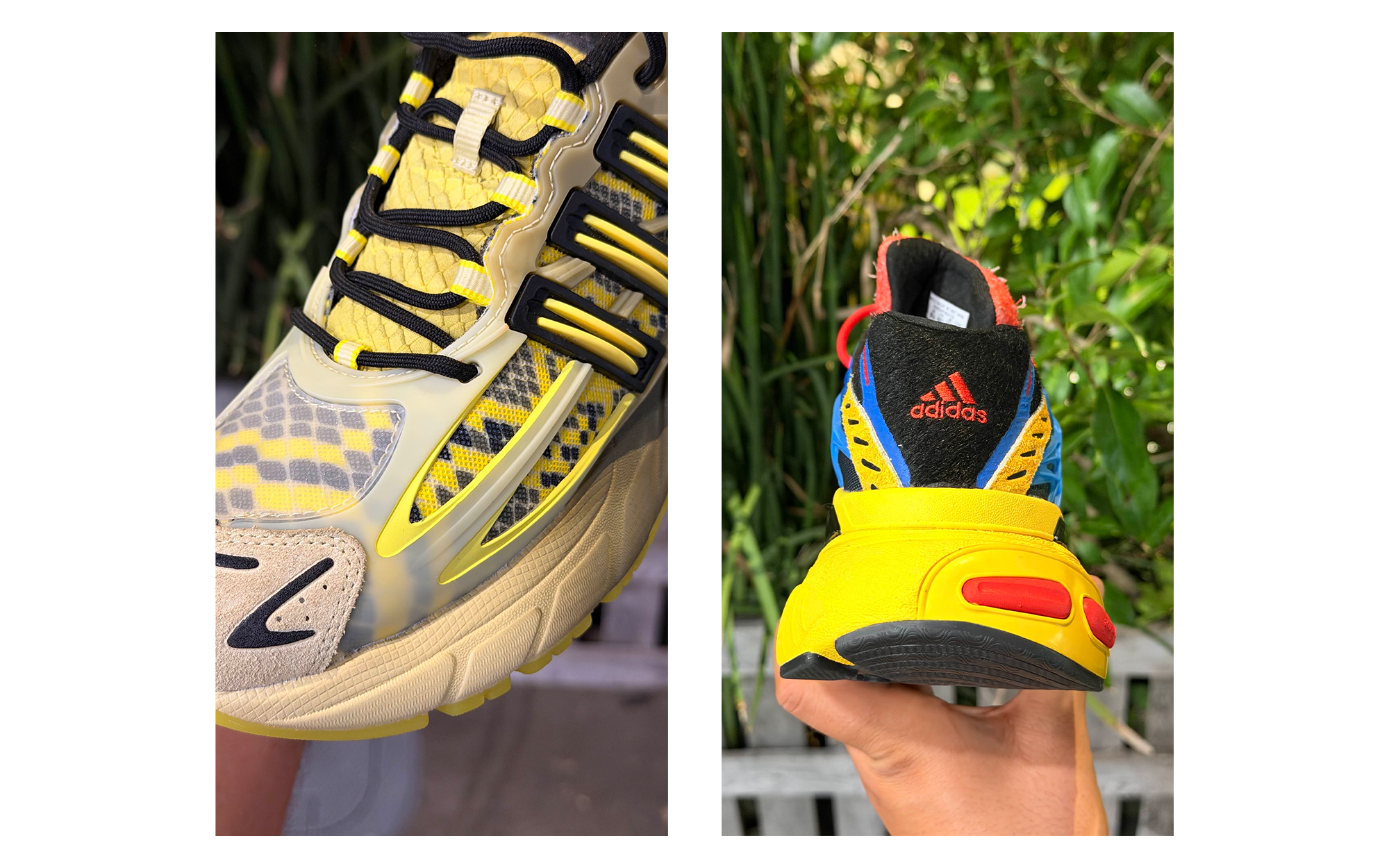Shake James x adidas AdiStar XLG 2.0 "Wild Rivals" Pack. Photo by @chefdoomy on Instagram.