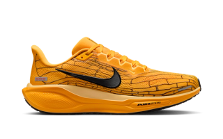 Nike Pegasus 41 LV8 "Mayfly"
