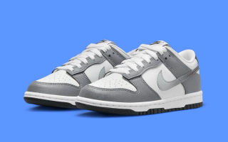 The Nike Dunk Low GS Appears In "Cool Grey"