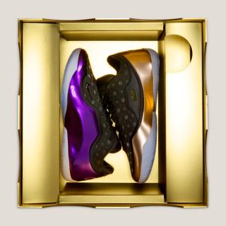 Nike LeBron 23 The Chosen One and The One Who Chose IF0694 001 00 17
