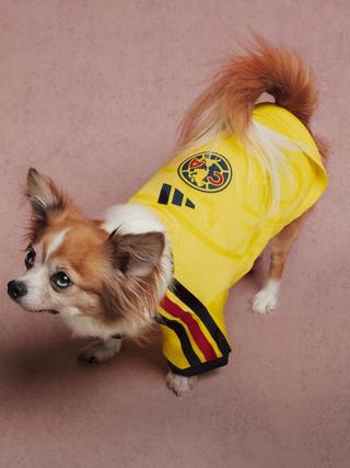 Club América 26/27 Pet Home Jersey. Photo via adidas.