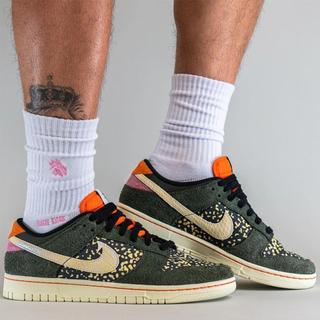 nike dunk low rainbow trout fn7523 300 release date 5