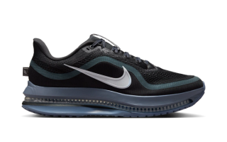 Men's Nike Pegasus Premium "Black/Metallic Silver"