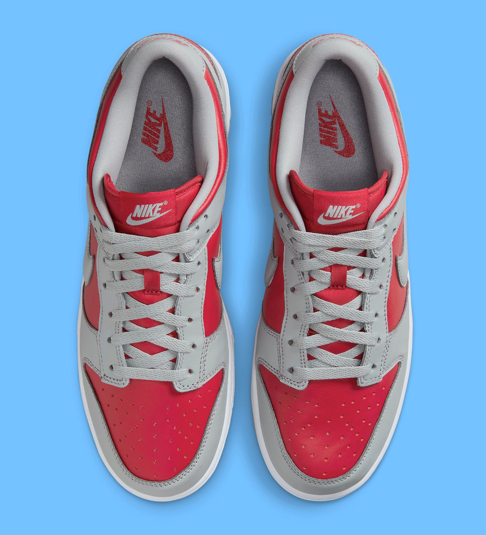 The Nike Dunk Low 