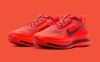Nike Running's Pegasus Premium running shoe in a "Light Crimson/Bright Crimson/Black/Team Red" color scheme.