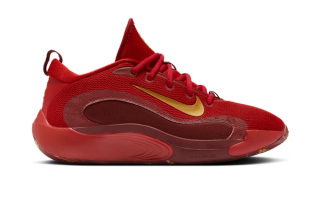 Kids' Nike Isofly "King of the Court" basketball shoe in a "Gym Red/Team Red/Dark Team Red/Metallic Gold" scheme.
