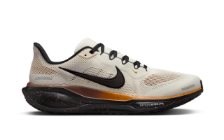 Nike Pegasus 41 "Desert Ochre"