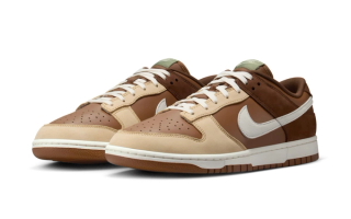 The Nike Dunk Low Appears With A New "Cacao Wow" Colorway 