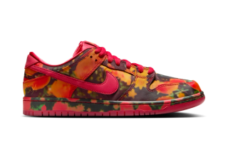 Wizard Of Oz x Nike SB Dunk Low