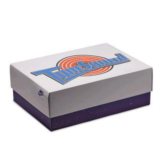 Air Jordan 9 "Space Jam" Special 30th Anniversary Box.