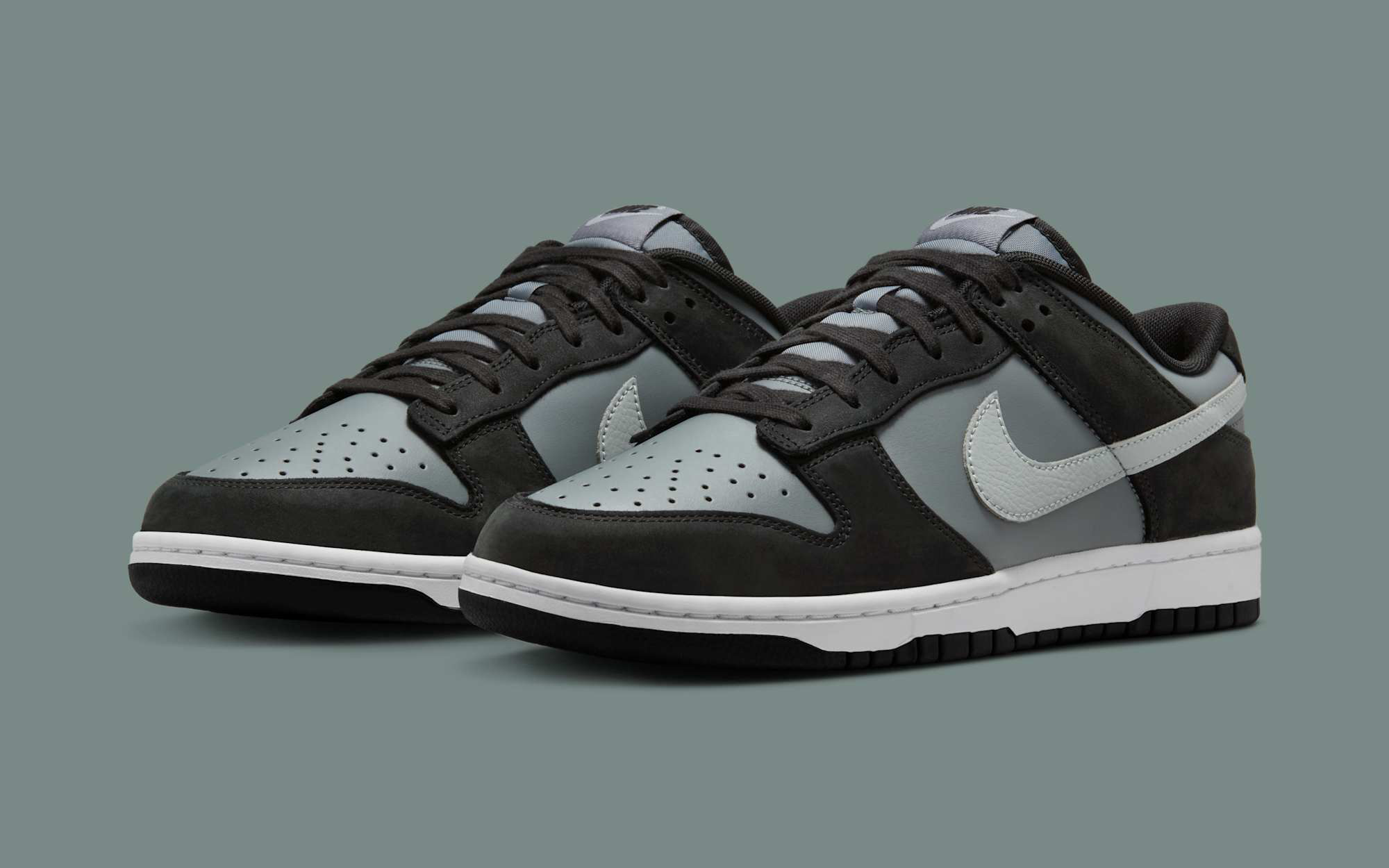 Nike's Dunk Low Appears in A New 