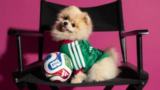 Dog wearing the Mexico 2026 World Cup™ Home Pet Jersey by adidas.