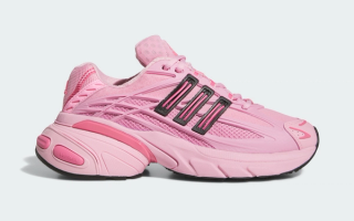 Women's adidas Adistar XLG 2.0 in a "True Pink/Core Black/Pink Fusion" color scheme.