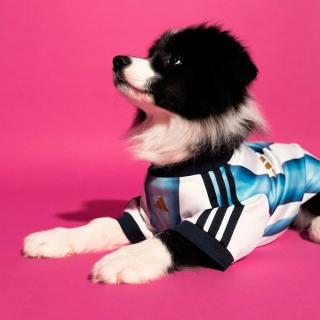 Argentina Pet Jersey (SKU: KY5147). Photo via adidas.