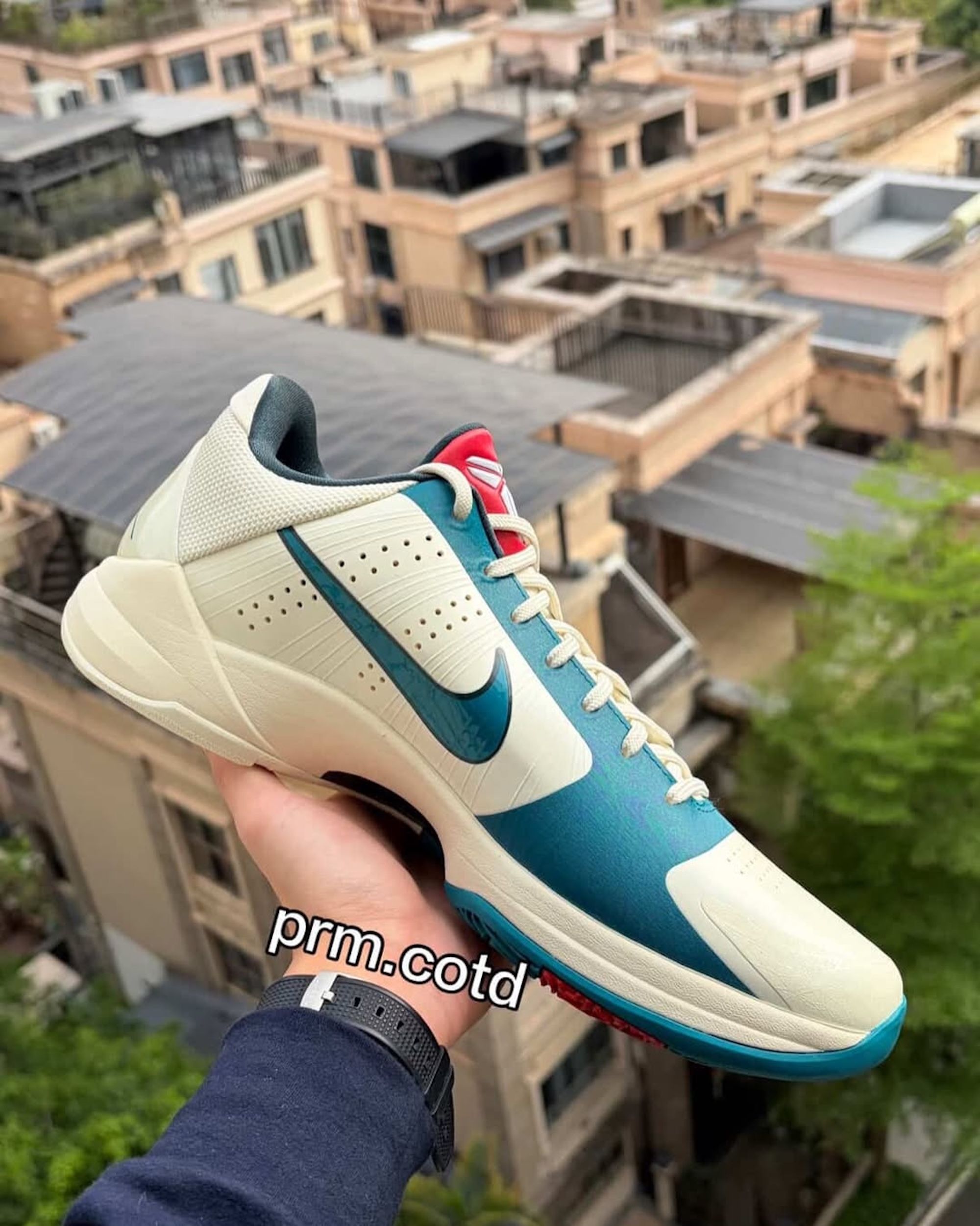 Kobe Protro Undefeated Hall Of Fame Kobe Shoes Protro Hall Kobe