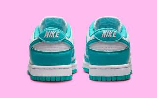 nike version dunk low next nature dusty cactus dd1873 105 5