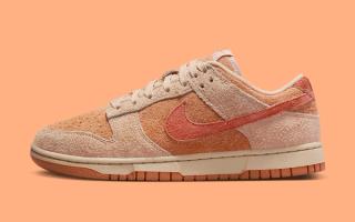 Where to Buy the Nike Dunk Low "Burnt Sunrise"