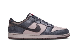 Nike Dunk Low "CBGB"