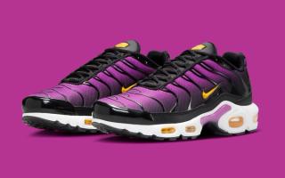 This Is the Perfect Nike Air Max Plus for Baltimore Ravens Fans