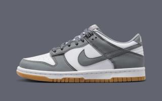 Nike Dunk Low White / Light Smoke Grey / Sail / Iron Grey Low Top