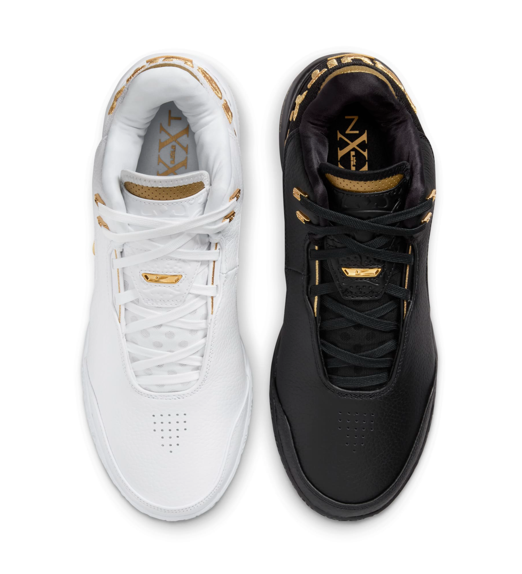 lebron equality black and white