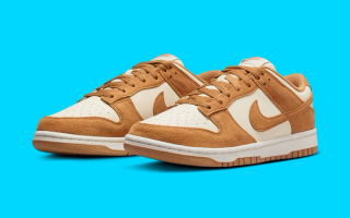 Official Images // Nike Dunk Low Next Nature "Wheat Suede"