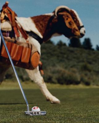 Messi's "El Último Tango" adidas CODECHAOS Spikeless Golf Shoe. Photo via adidas.