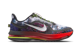 Nike Pegasus Premium "Multi-Color"