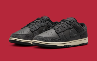 Shaggy Black Suede Covers the Nike Dunk Low