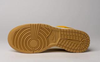 nike dunk low canvas yellow gum 6