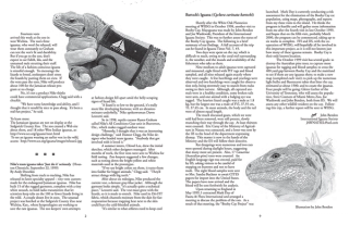 West Indiana Iguana Specialist Group Newsletter (Fall 1999). Photo via International Union for Conservation of Nature (IUCN).