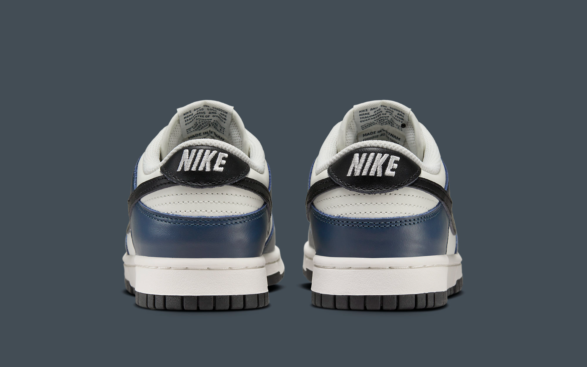 The Nike Dunk Low 