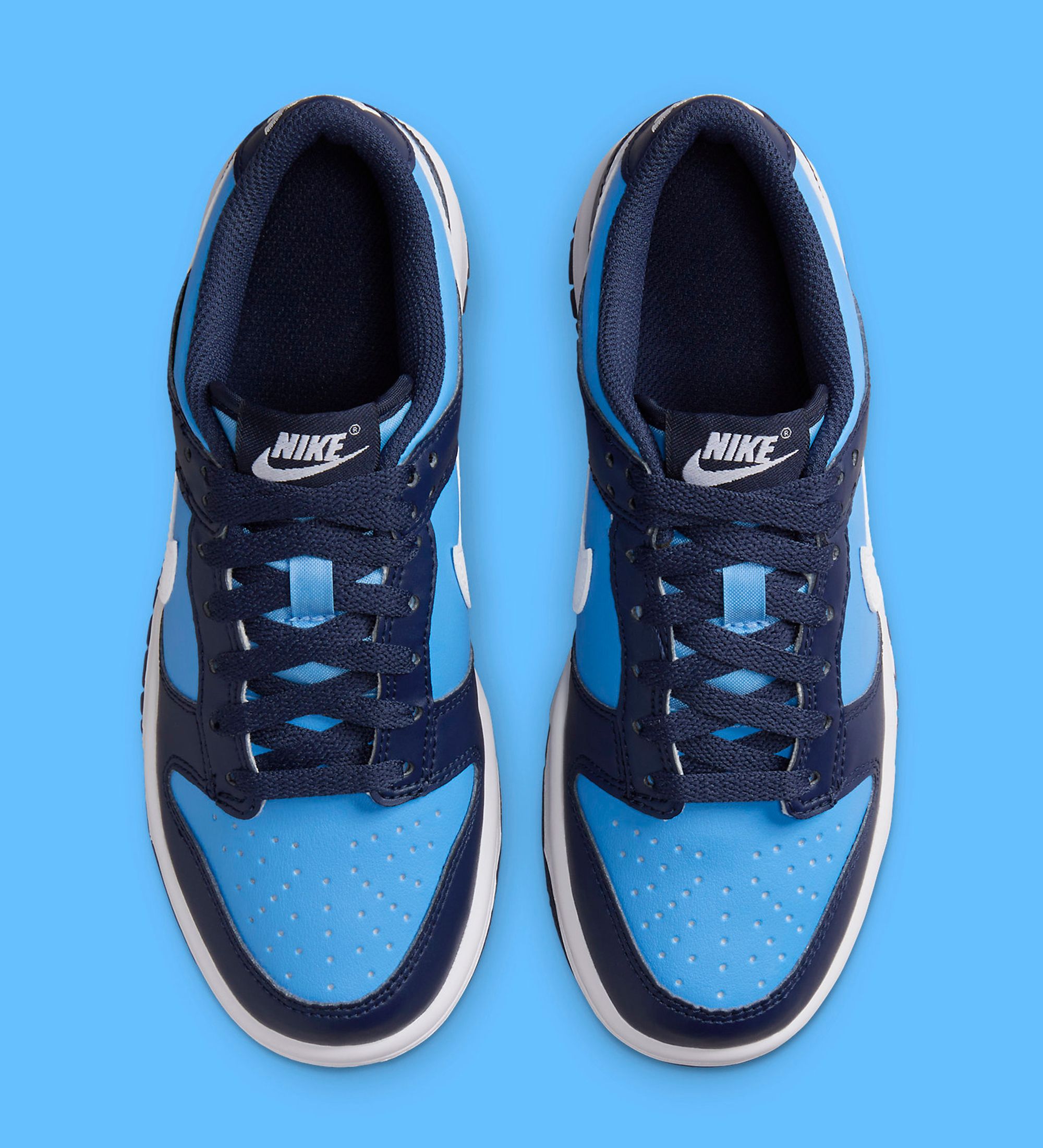 dunk low hyper cobalt white laces