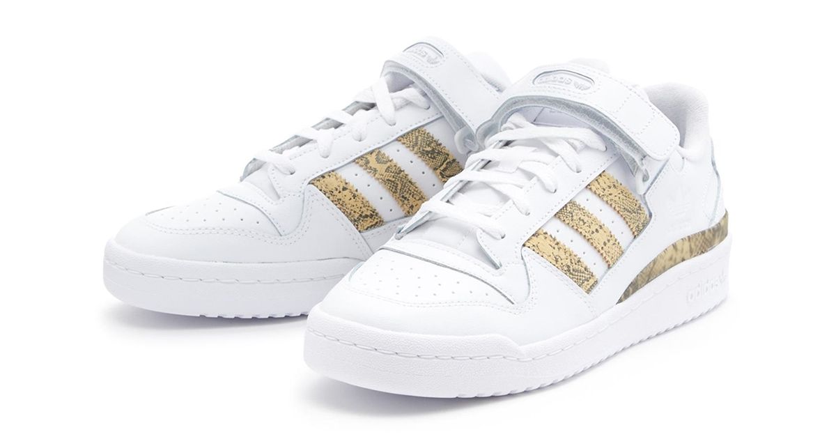 adidas Forum Low “Snakeskin” Surfaces | House of Heat°